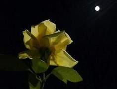 서 담 | Xy | 19 | 에이머 | 문화창작부