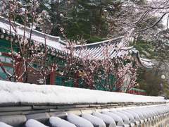 망각은 신이 인간에게 주는 축복이다.