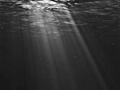 [주원동식주원] 당신이 없는 세상 (6)