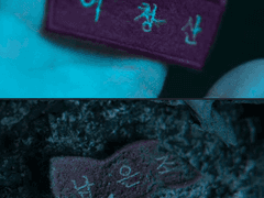 내 세상의 색은 - 2