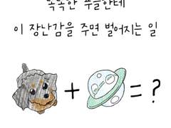 코코툰 004