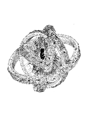 하이롤러 스플릿