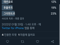 - 하이큐 유사투표존 -