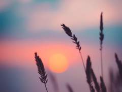 [메이시오] 어째서 우리는