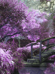 수상한 이웃집(+)