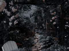 내 꿈에는 색이 없다