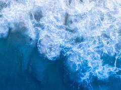 나는 사람을 꿈꾼다.