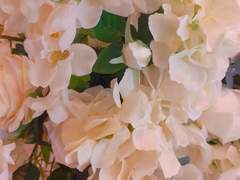 악공커-고백로그