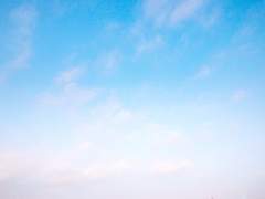 니키타 미셸 / Xx / 천사