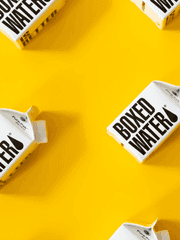 날로 먹는 연애