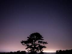 그 기나긴 기회의 저편에서 보내는 작은 축하