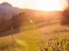 밝은 햇살 아래