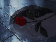 나의 삶을 망칠 나의 구원자.