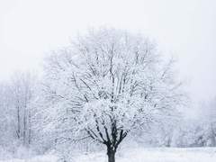 따뜻한 널 안기 위해서, 그렇게 겨울을 걸었지.