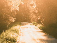 달리기 위한 노력, 노력에 의한 달리기