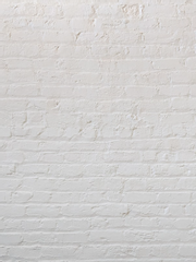 전체이용가 채널로 가지 못한 슬픈 것들