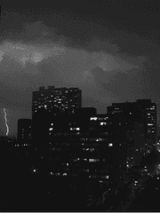 조폭들과 좆고딩