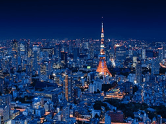 도쿄의 밤은 찬란하다.