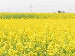 그럼에도 불구하고, 우린 결국 사랑하게 되겠지만.