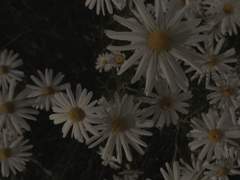 때 이른 졸업이지만.