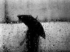 [쾌혚/학뮤] 실험쥐