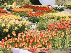 나의 시간은 언제나 흘러간다