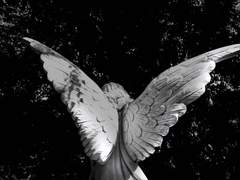 [ 벨제뷔트. / 무성 / 천사 ]