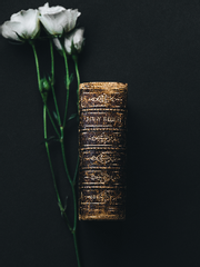 북마녀 칼럼 아카이빙