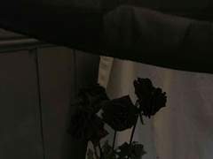 日晩秋煙裏 星繁曉露中