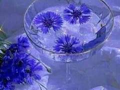 I don’t think about risks much.