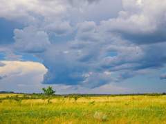 로코코 메이퀸/31/너울단지