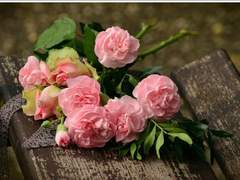 히카리 타이요우 처형, 버전 2