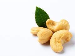 [던컨폴] 캐슈넛