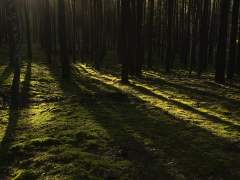 전부 어리석은 녀석들 뿐이었어.