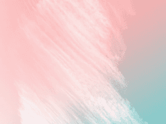 나의 발자국 너의 행방 1