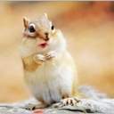 베르베르베르사체