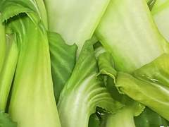 중국남자를 사랑하고 나에게 남은 것