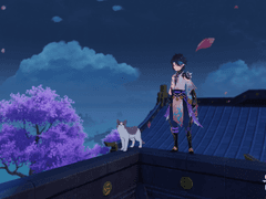 고양이를 보는 소와 소를 보는 고양이