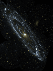 우주선에서 외계인이 내려와 하는 말 ~인류멸망~