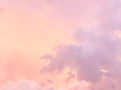 Till the end, to my love