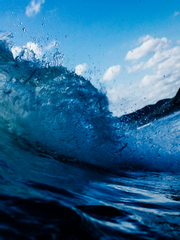 Arabella Eileen. Mare