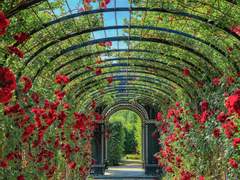 정원을 가꾸기 위한 10가지 법칙