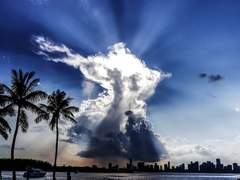 프란츠 하온/XY/천사