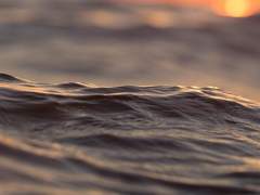 도이 나츠히코/XY/히쿠에라