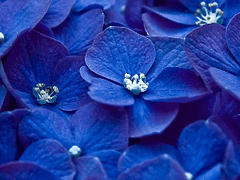 과거를 바라는 현재