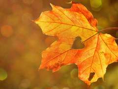 결국 어느 동화와 같은 결말로.