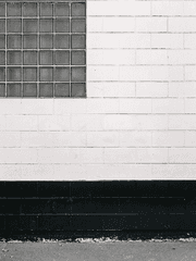 치즈가 세상을 삼켜버렸네