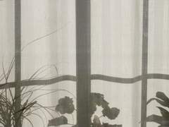 맞닿은 손의 연장선