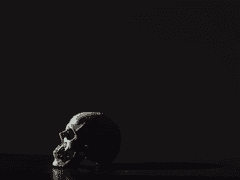 운치리는 묻고 싶다.