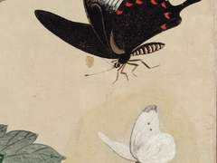 나의 시간은 언제나 흘러간다